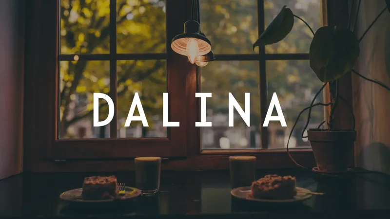 Dalina — PPC case study