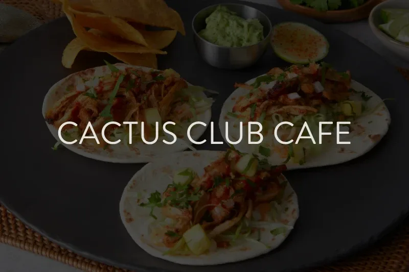 Cactus Club Cafe — SEO case study