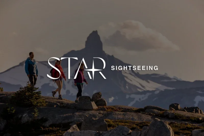 Star Sightseeing — SEO case study