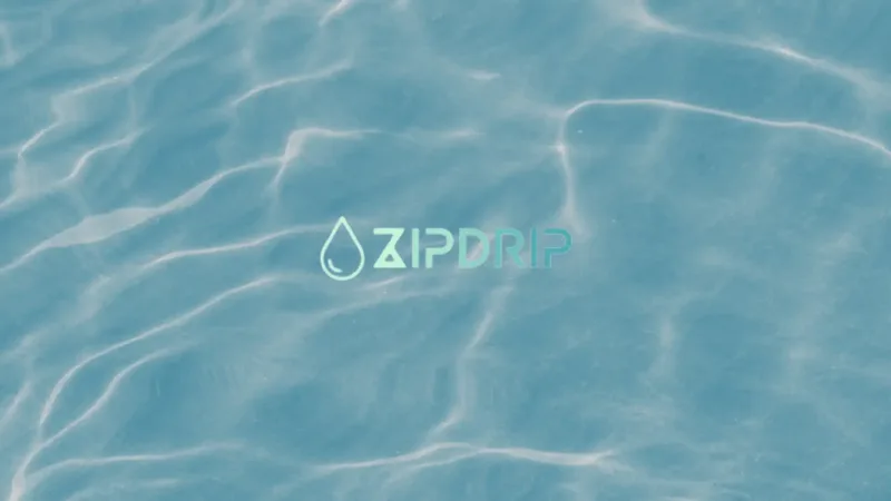 ZipDrip — SEO case study